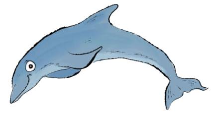 Dolphin Image