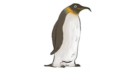 Penguin Image