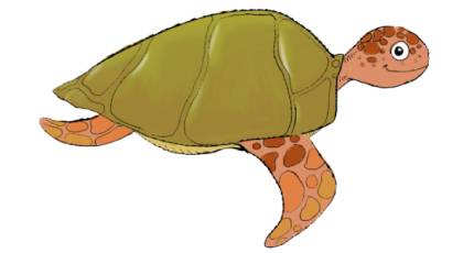 Turtle Image